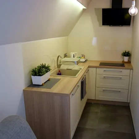 Bed & Breakfast Tatrzanski Bor Ciche Małe