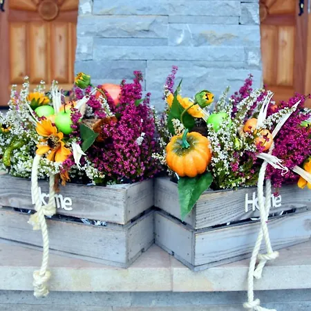 Tatrzański Bór Małe Ciche